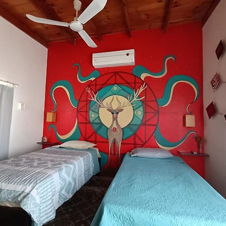 Adventure Inn 拉巴斯 外观 照片